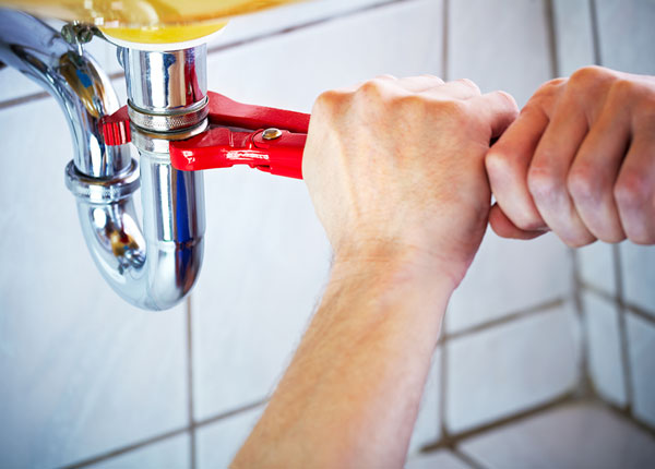 About Holly Plumbers